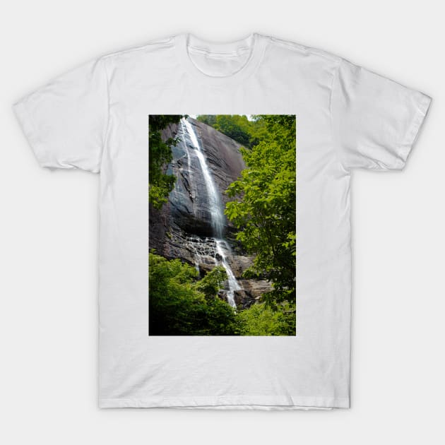 Carolina Waterfall T-Shirt by Jmcguirt